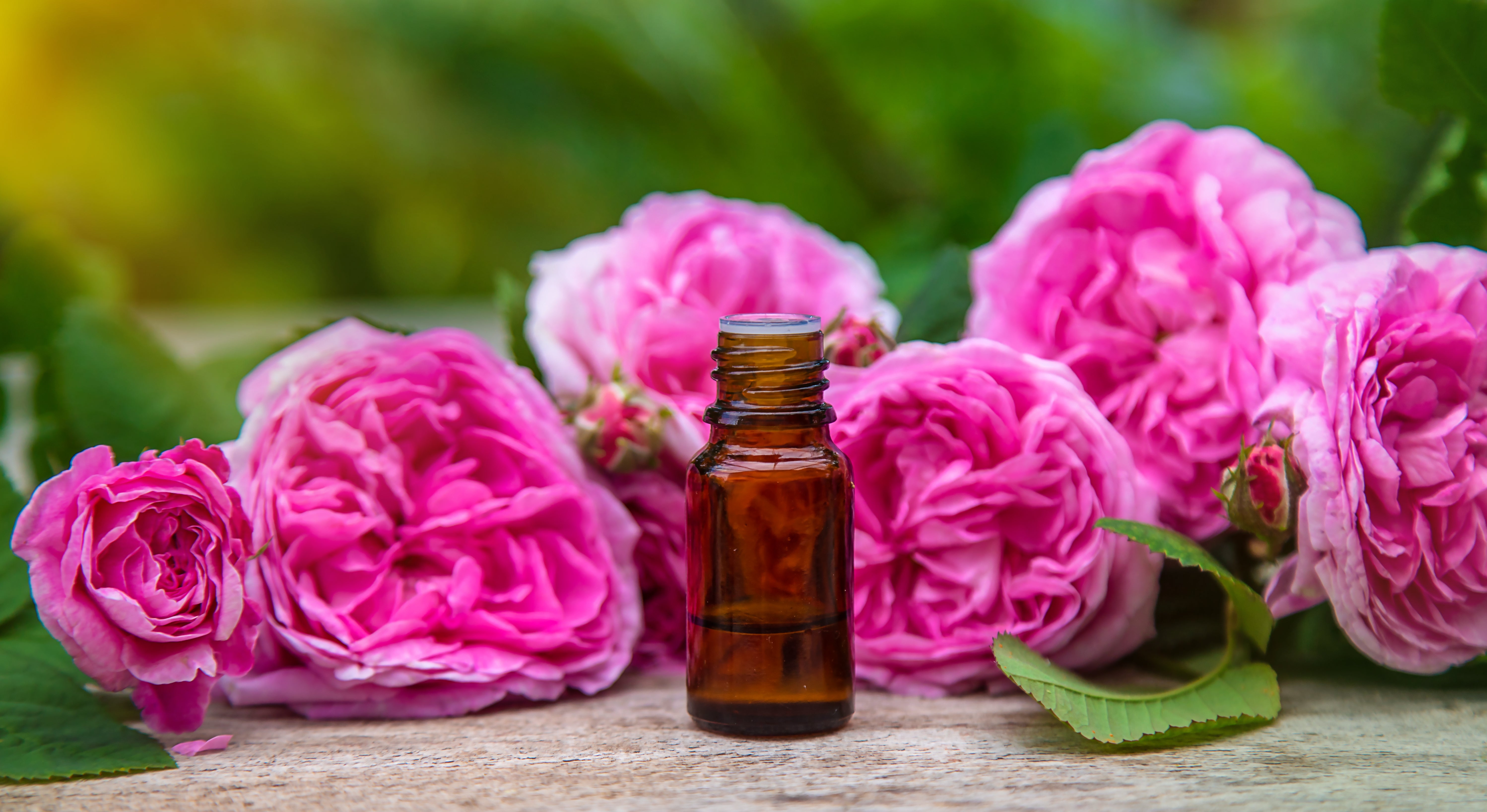 Rose attar best sale essential oil